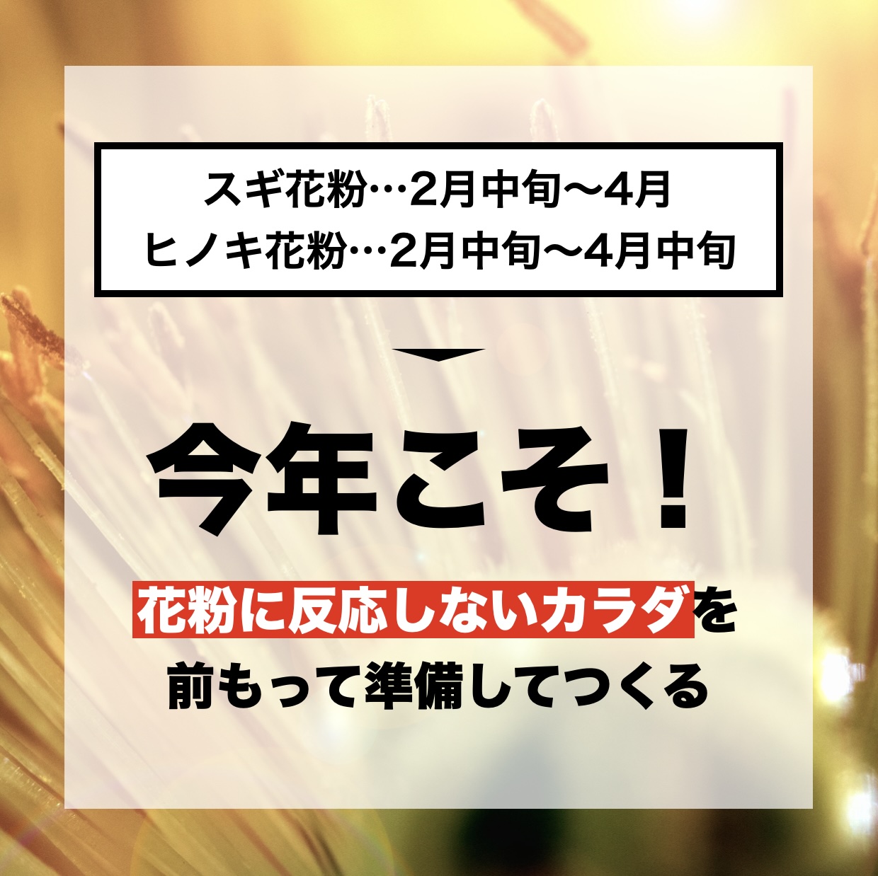 花粉に反応しないカラダをつくるための対策方法イメージ