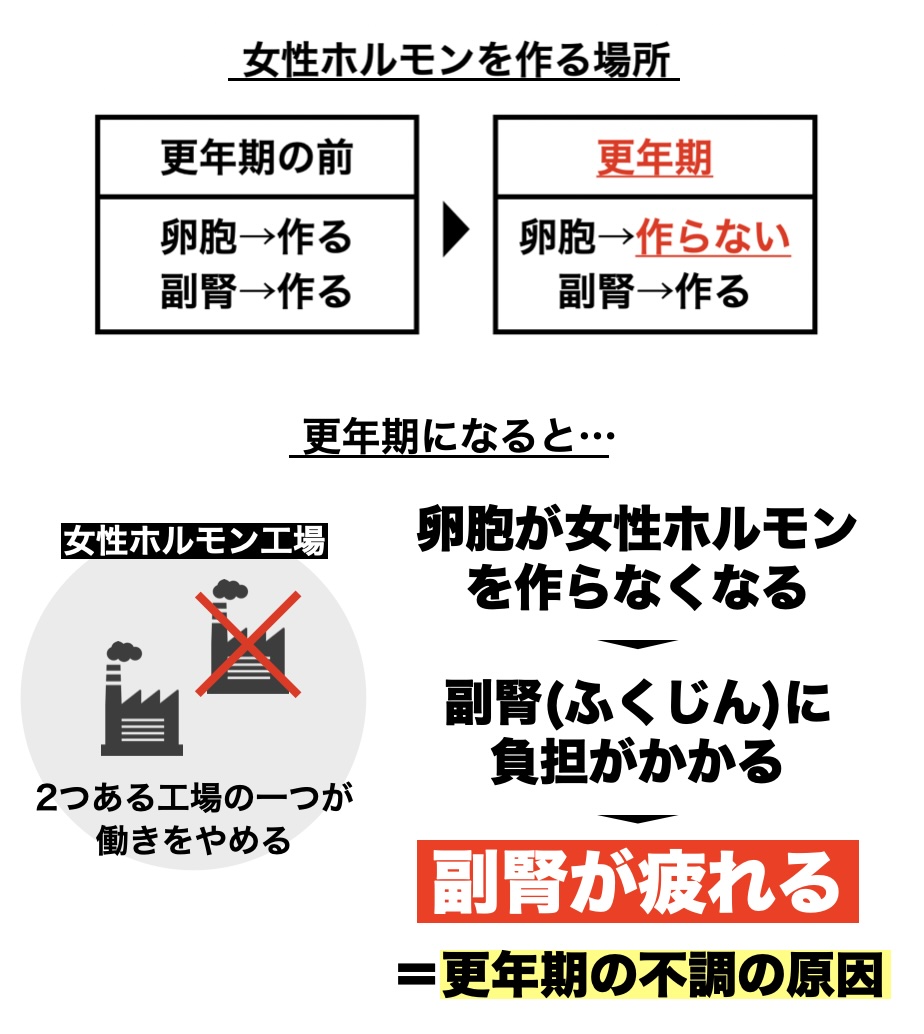 更年期に女性ホルモンサプリメントを飲むよりも副腎をケアすることで更年期の不調が改善されることを説明しているイメージ