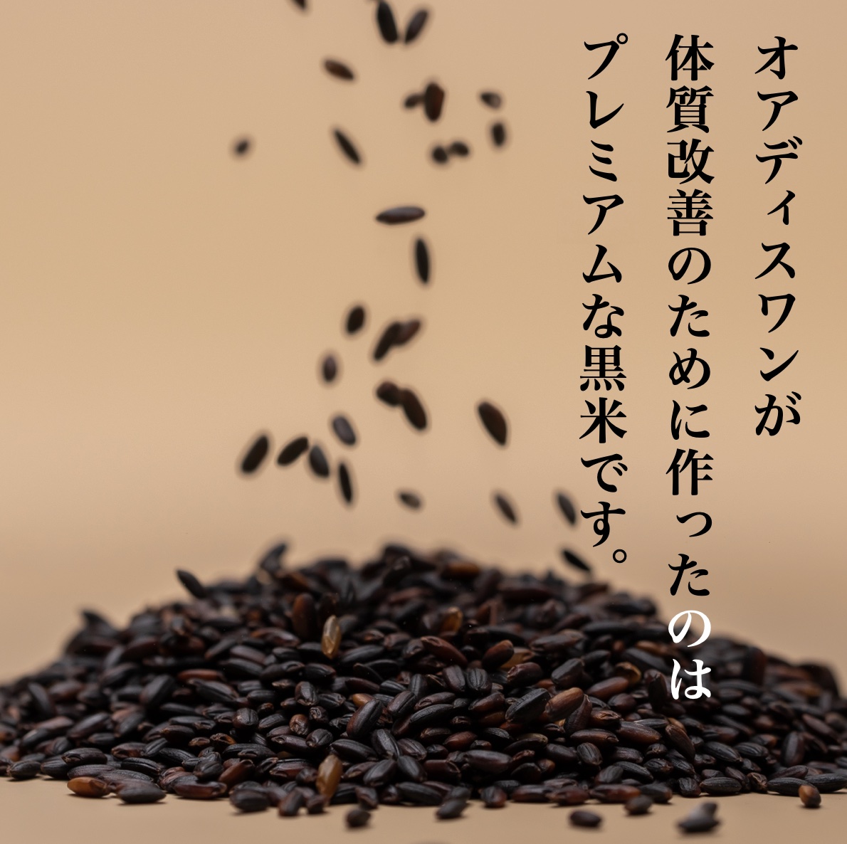 更年期専門店オアディスワンの黒米「黒い美容家」は体質改善のためにつくられたと説明している