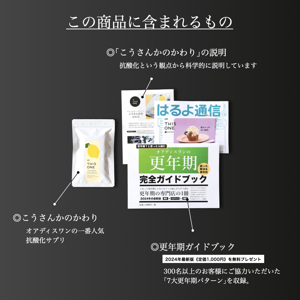 更年期専門店オアディスワンの「こうさんかのかわり」を購入したら届く商品一覧