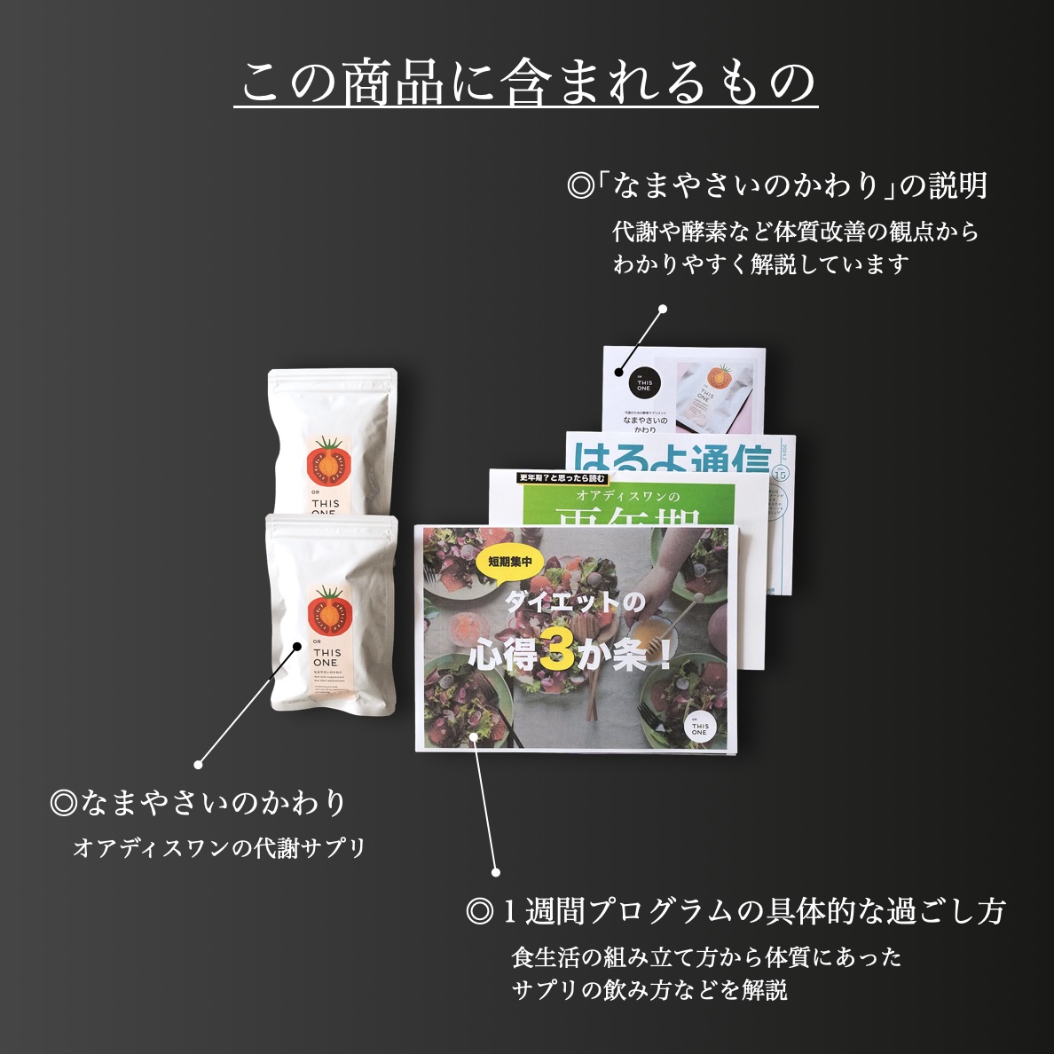 体質改善専門店オアディスワンの短期集中ダイエットパックを購入したら届く商品一覧