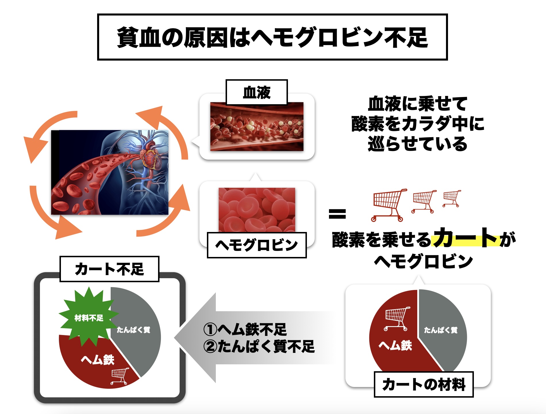 貧血の原因の一つとして体内のヘモグロビンが不足していることを説明