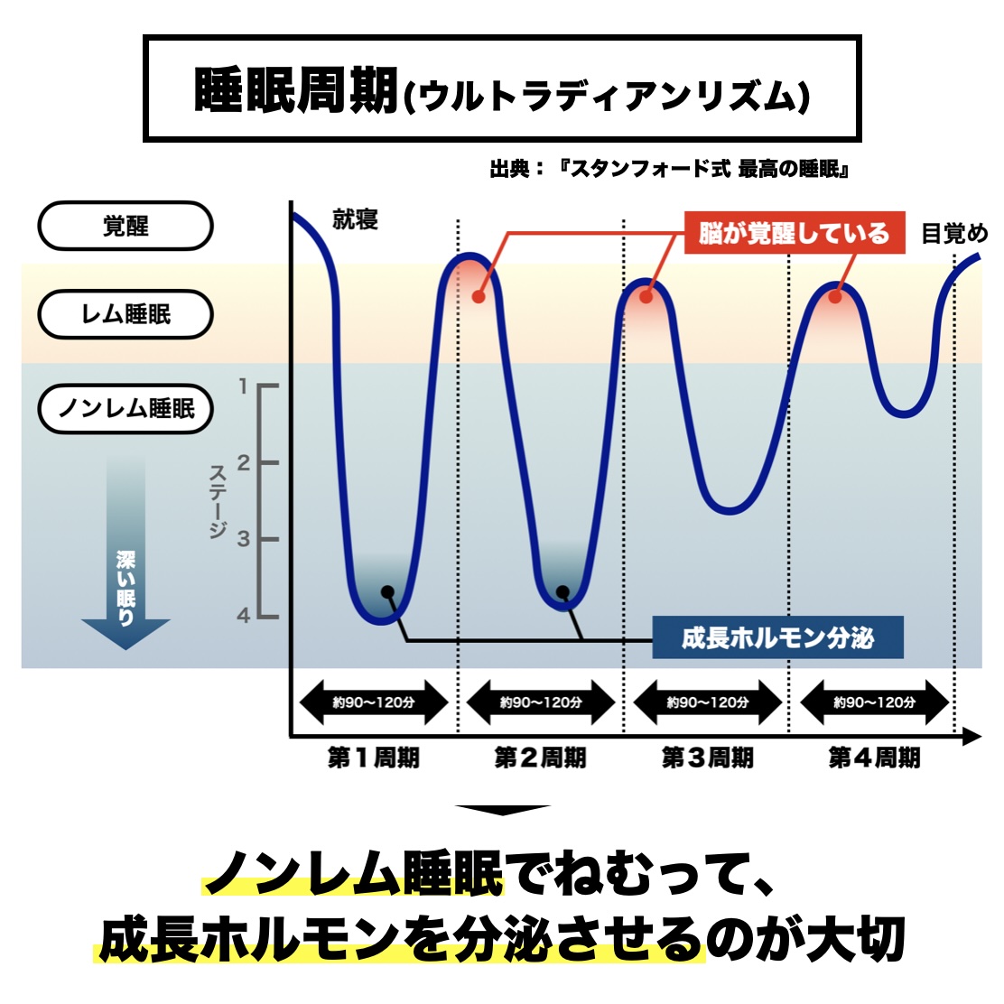 更年期疲れにかかわるノンレム睡眠と成長ホルモンの分泌について説明