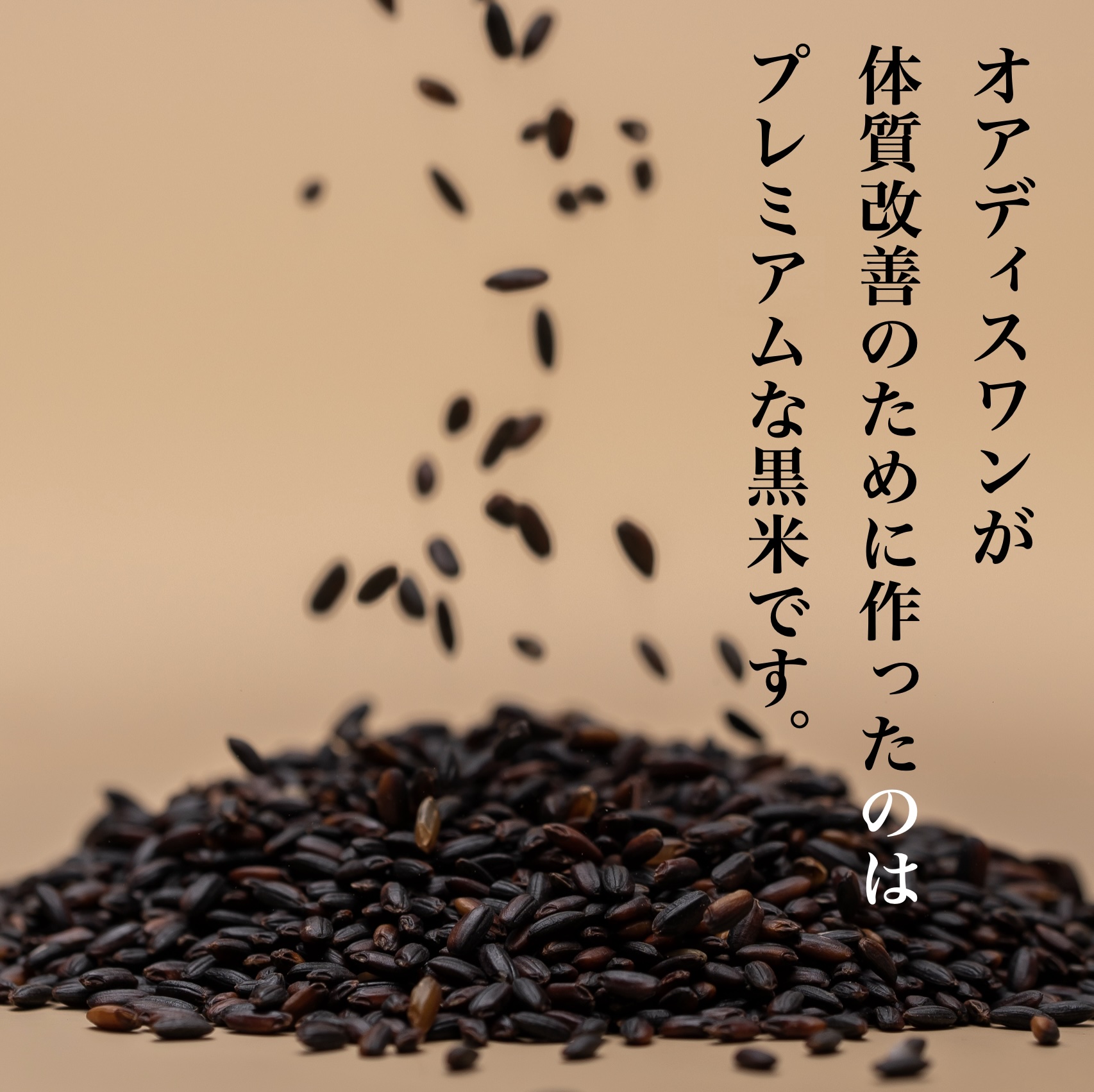 更年期女性におすすめの栄養価の高い黒米