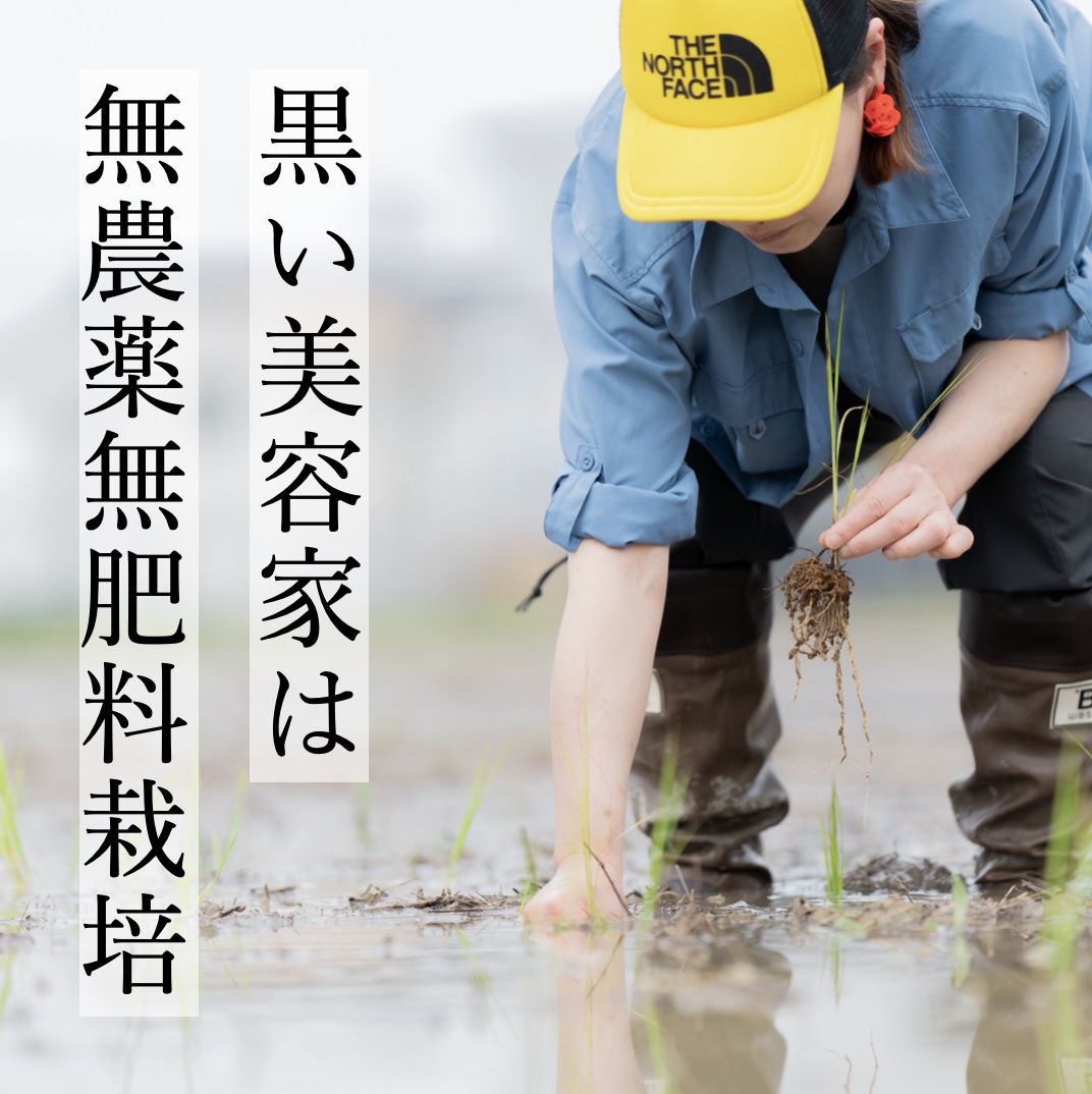 オアディスワンの黒米「黒い美容家」は無肥料無農薬で作られている