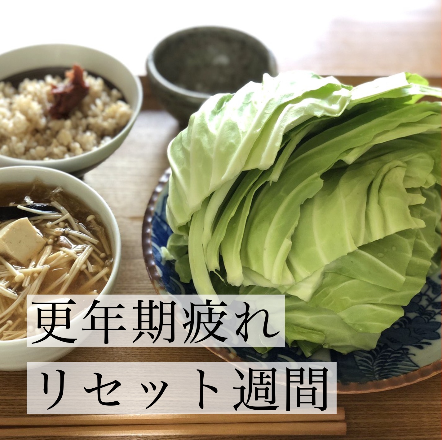 オアディスワンの更年期の疲れを回復させる体質改善プログラムのイメージイメージ