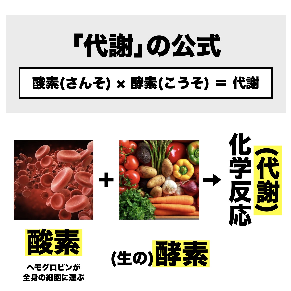 更年期専門店オアディスワンが代謝アップには酸素と酵素が必要と説明