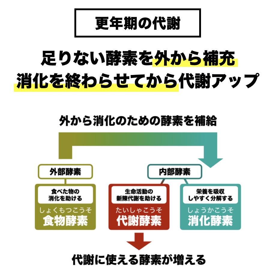 オアディスワンが体の循環をよくするために外から酵素を摂ることが必要と説明