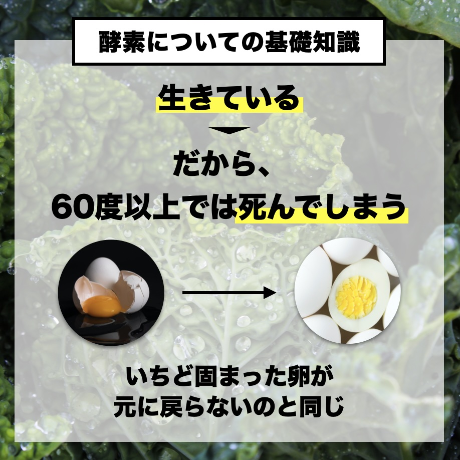 更年期専門店オアディスワンが生きた外部酵素を摂ることが必要と説明