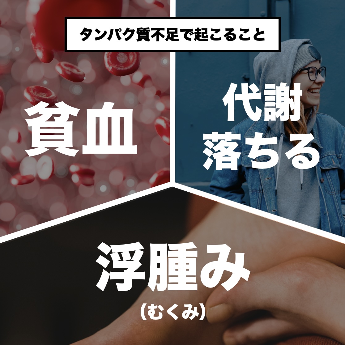 更年期専門店オアディスワンが更年期のタンパク質不足でおきる3つの要素を説明