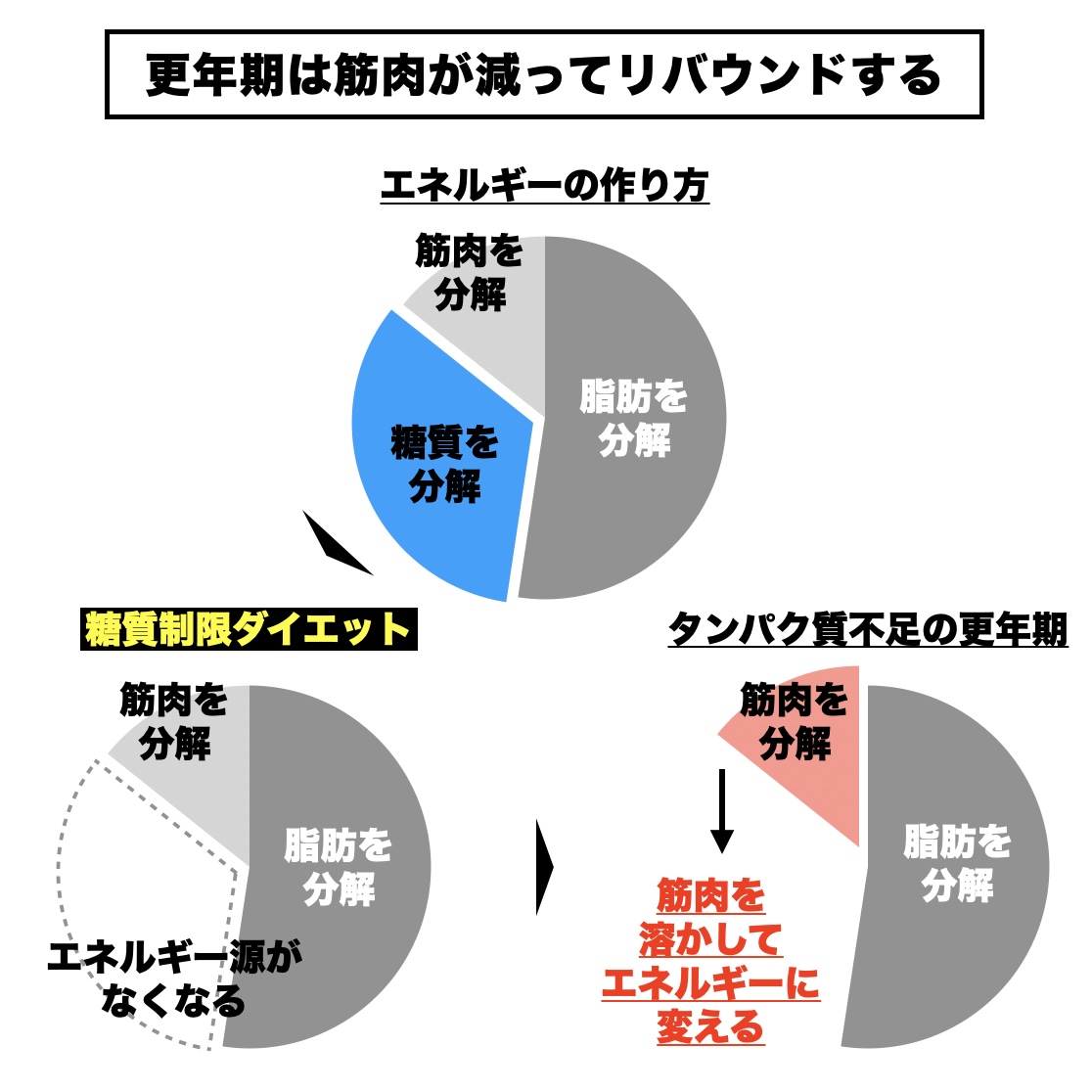 オアディスワンが更年期に筋肉量の低下でリバウンドが起きる理由を説明