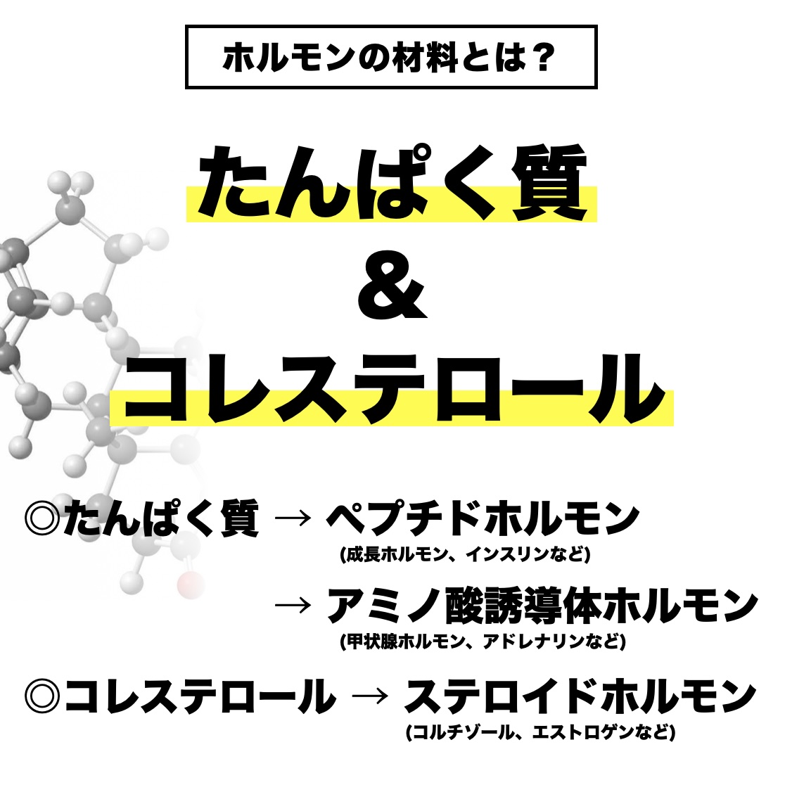 更年期専門店オアディスワンがホルモンの材料を説明