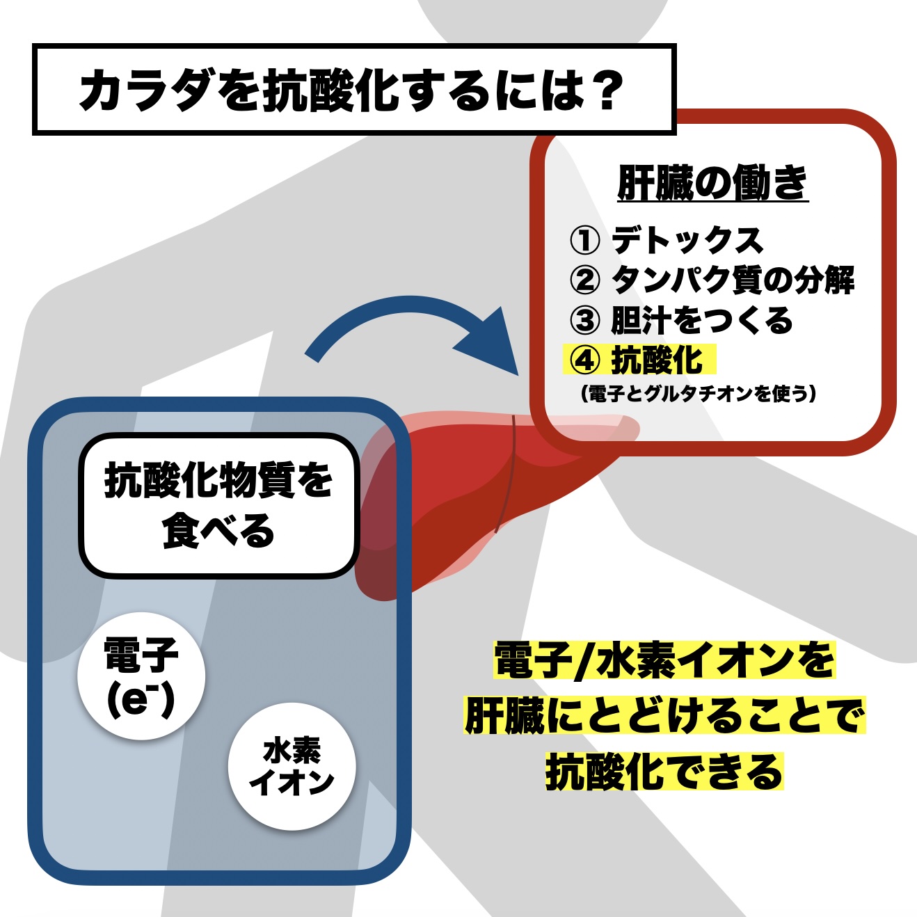 更年期専門店オアディスワンが体を抗酸化させる方法を説明