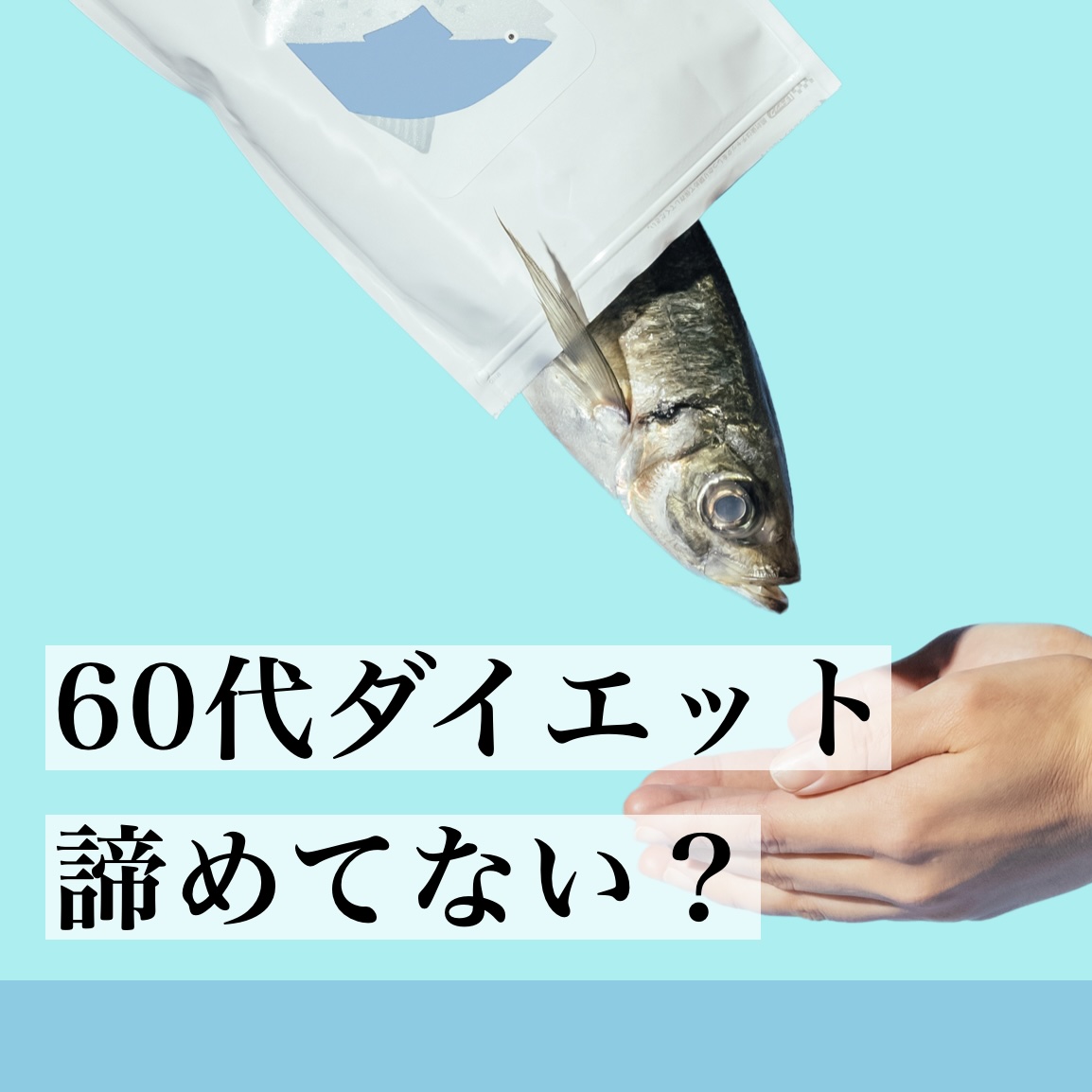 更年期専門店オアディスワンが60代におすすめするダイエットプログラム