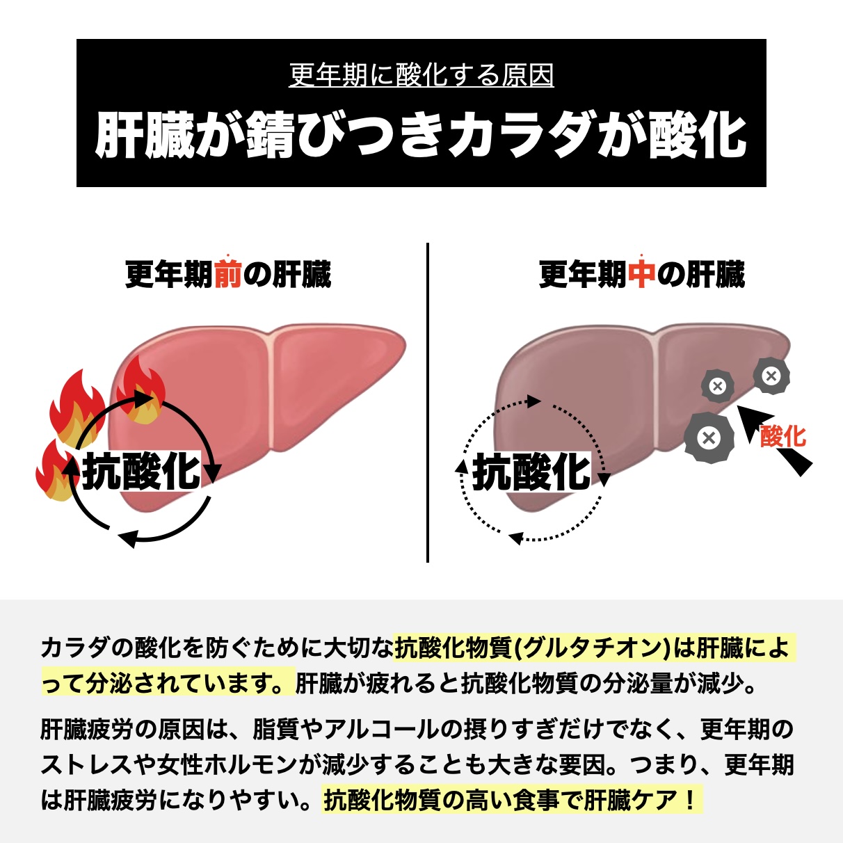 更年期に酸化する原因は肝臓が錆びつき酸化していると説明