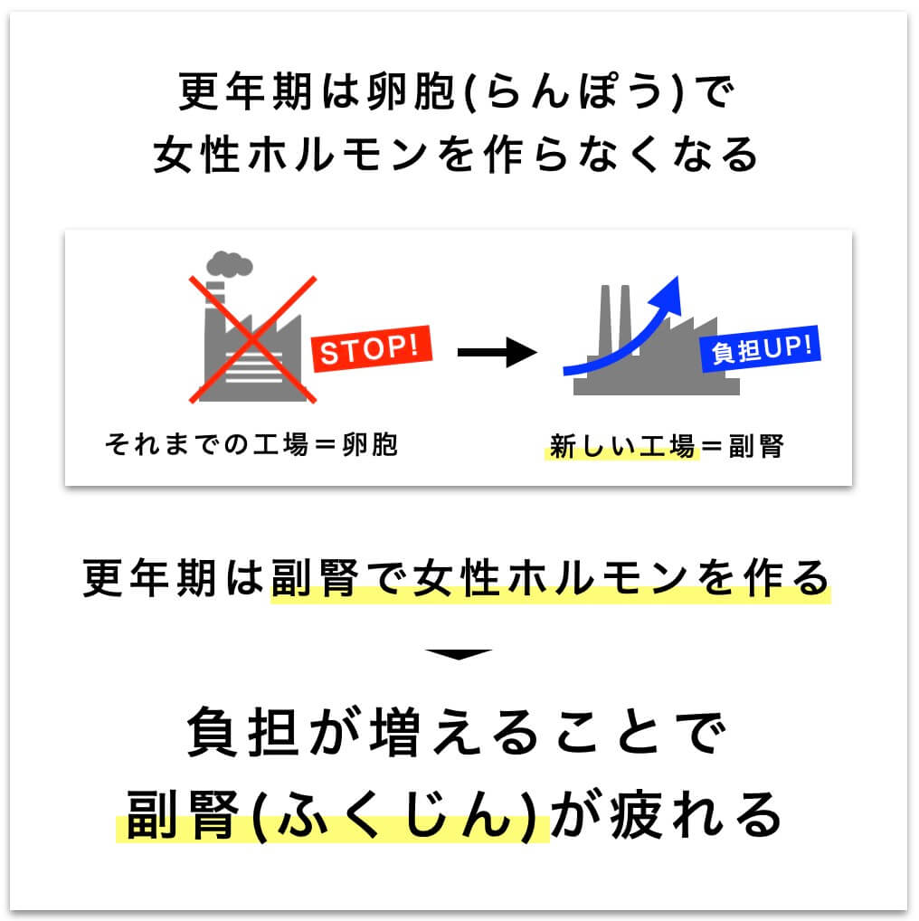 女性ホルモンの関係で副腎が疲れ、自律神経が乱れる説明をしている図