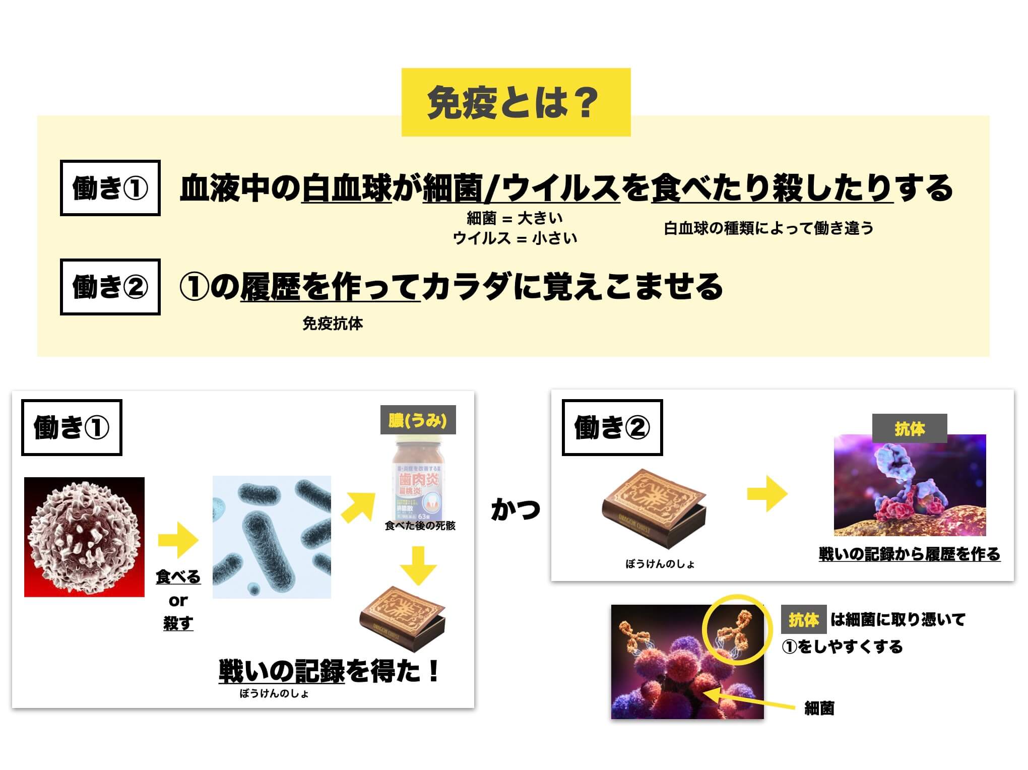 免疫とはを説明している図