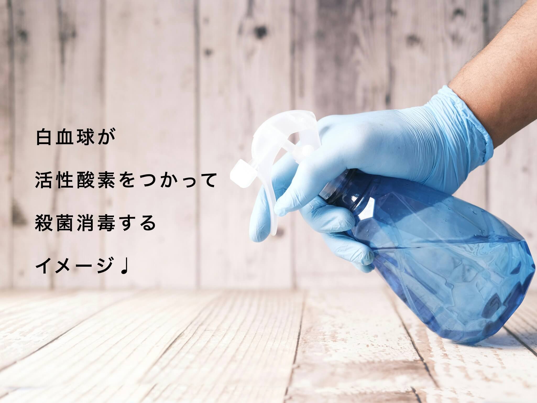 白血球が細菌やウイルスを殺菌していることを説明している図