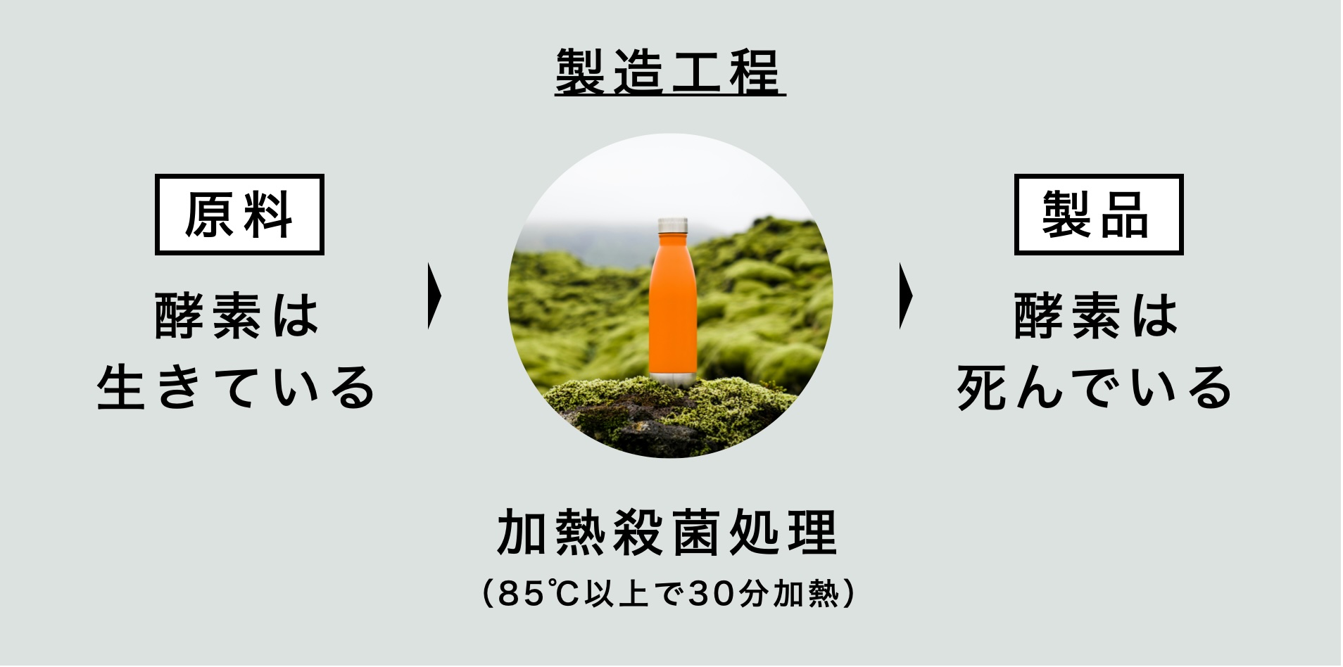 酵素サプリメントの製造過程で酵素が死滅してしまう理由