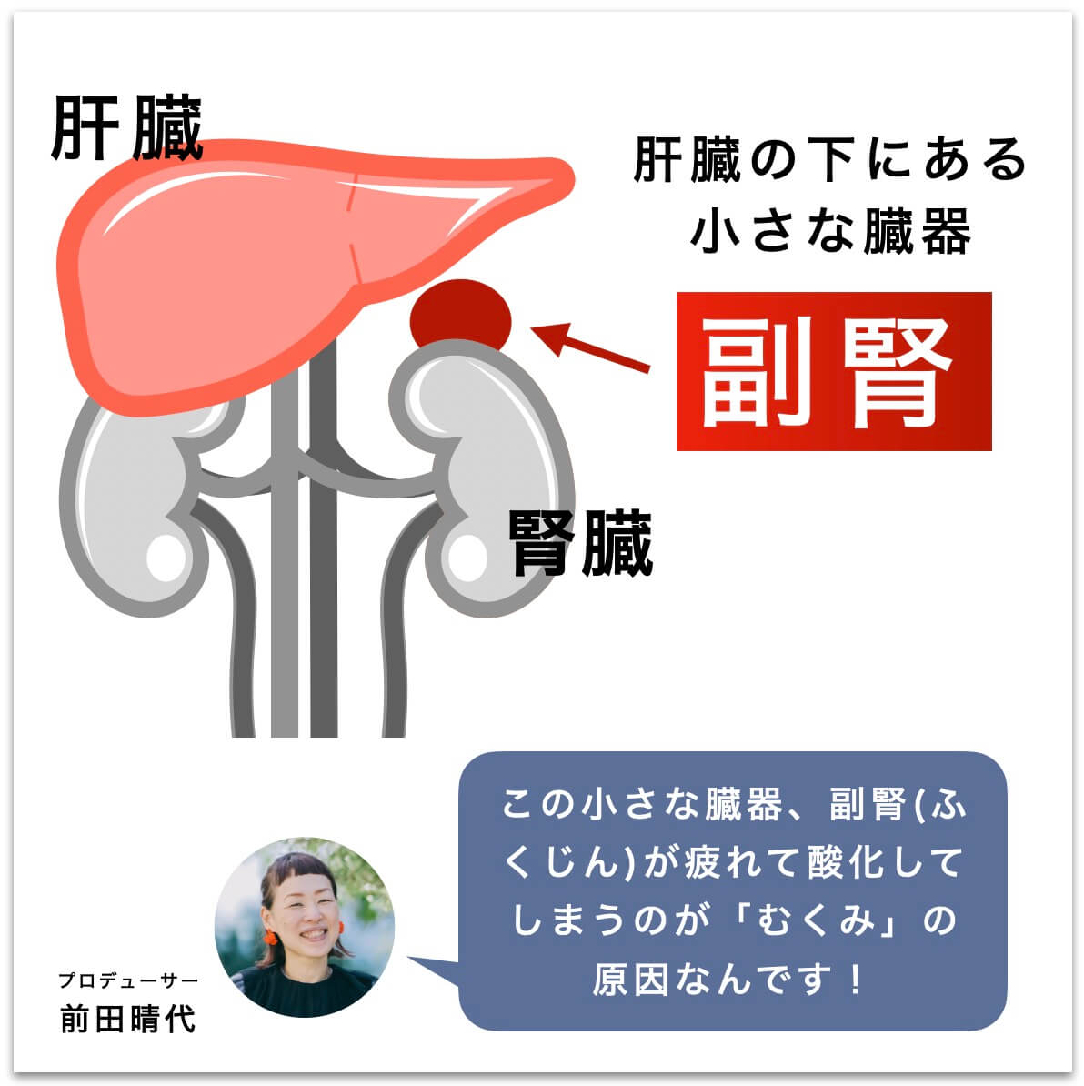 副腎の説明している図