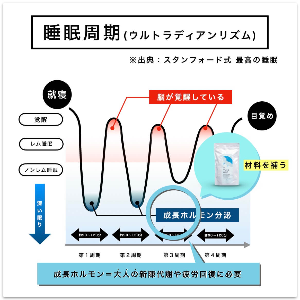 睡眠周期の説明