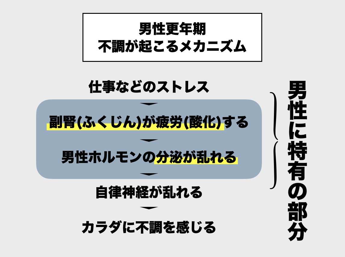 男性更年期の原因をまとめているイメージ