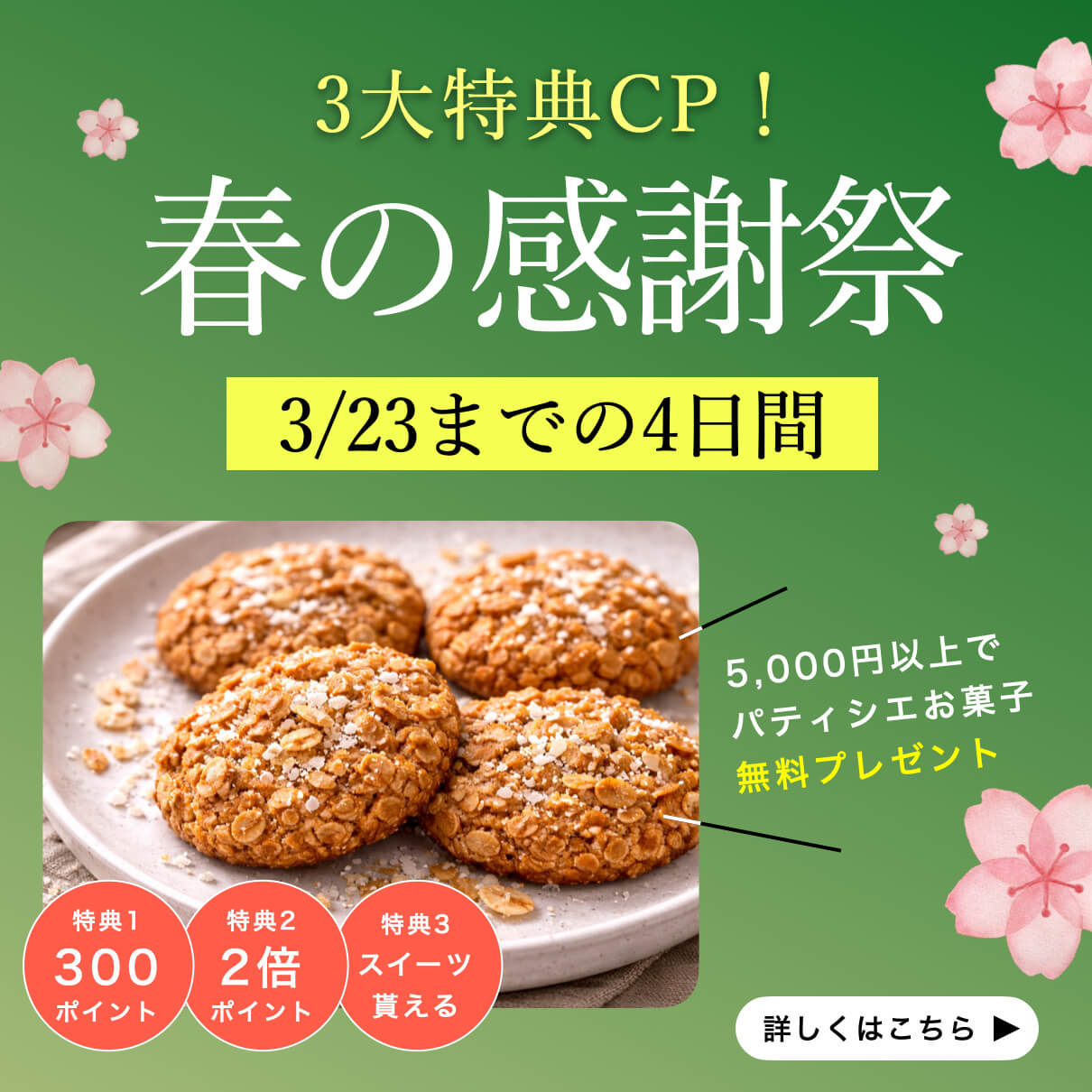 春のキャンペーン