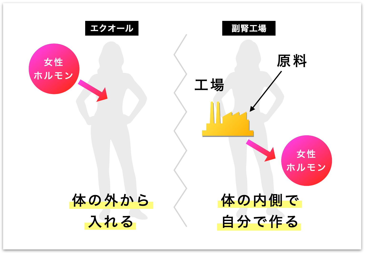 命の母とエクオールはどっちがおすすめか説明