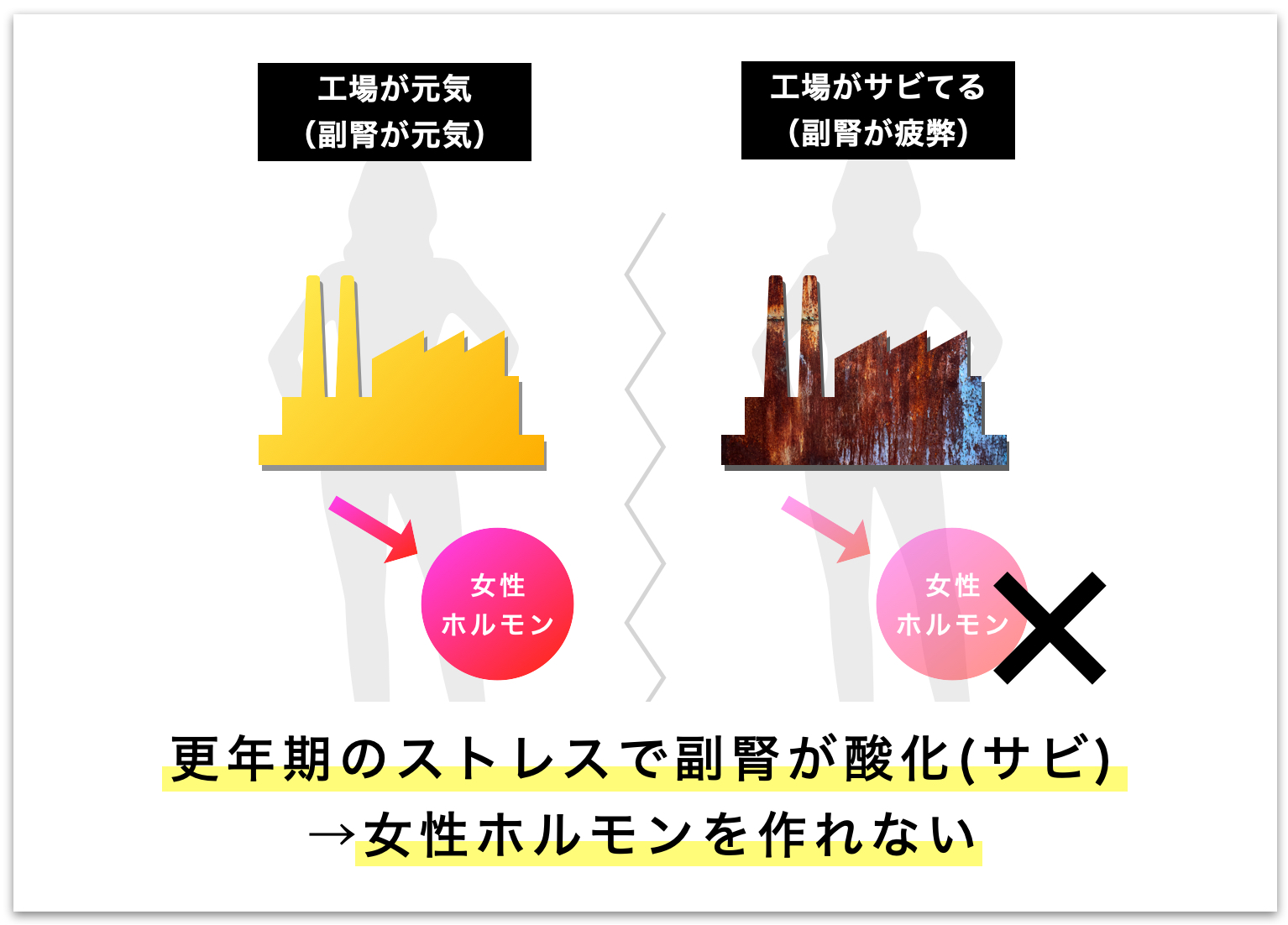 更年期になると副腎が疲れて女性ホルモンが作れない