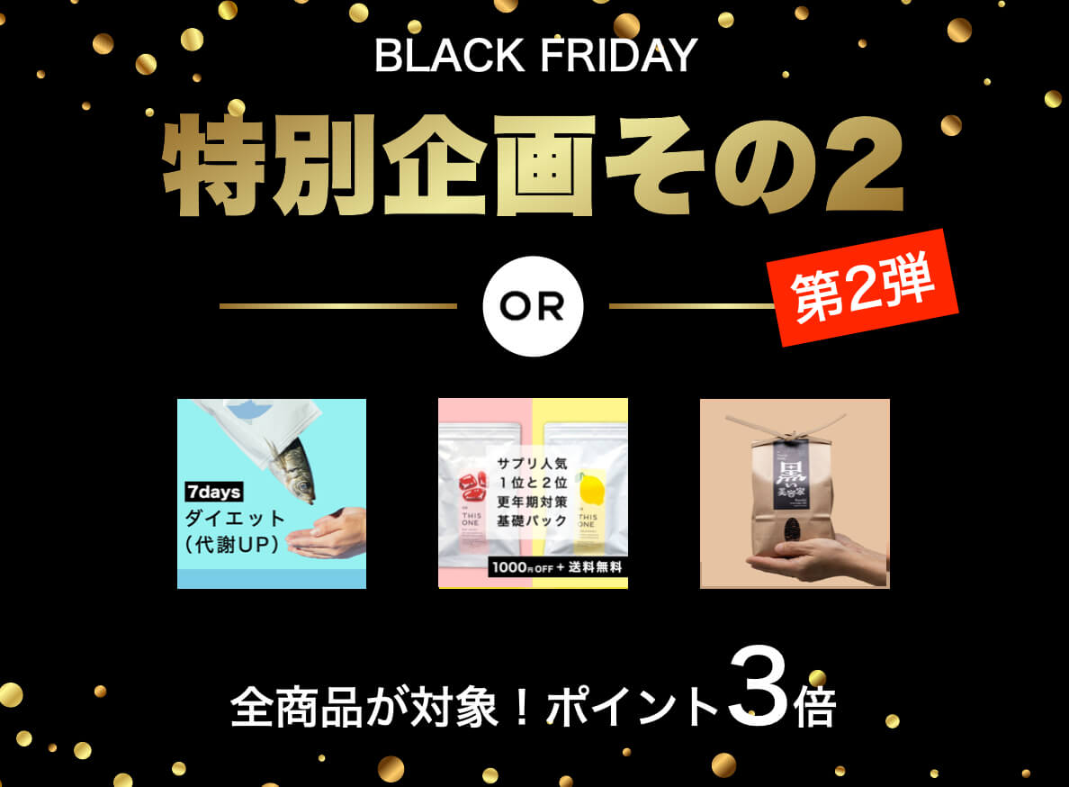 ブラックフライデー特別企画2