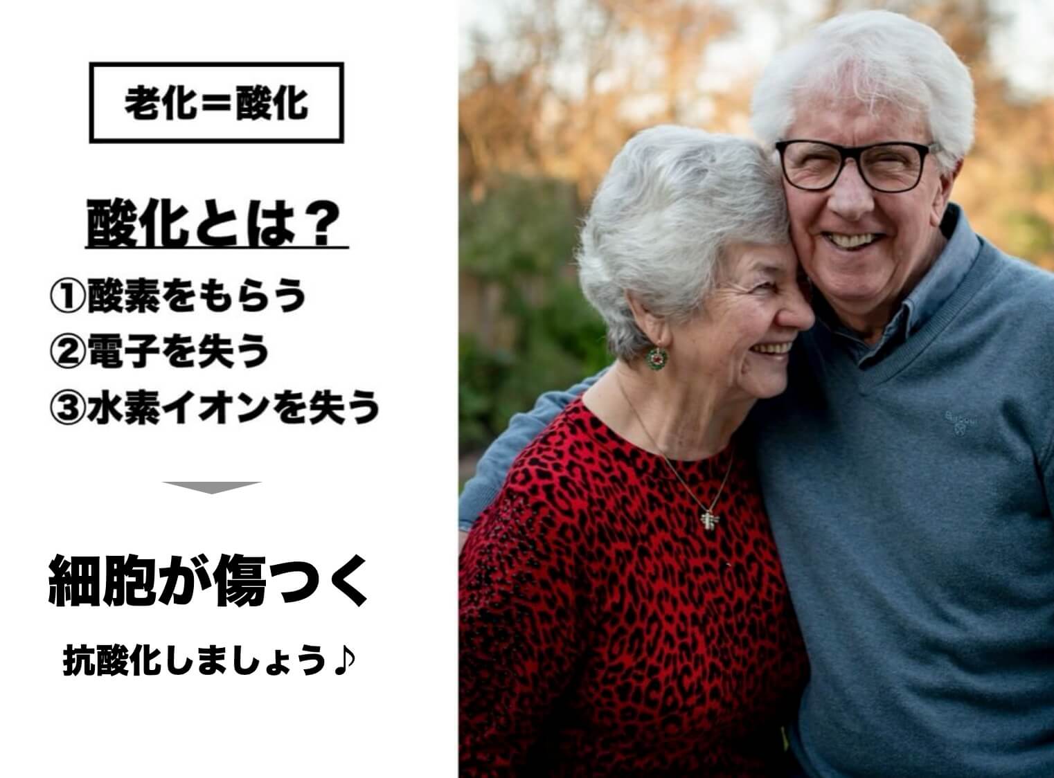 酸化と抗酸化について説明している図