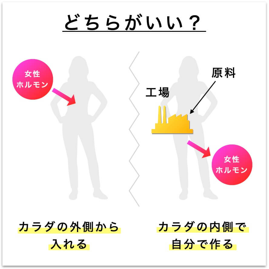 エクオールを体の中で作ることができる図