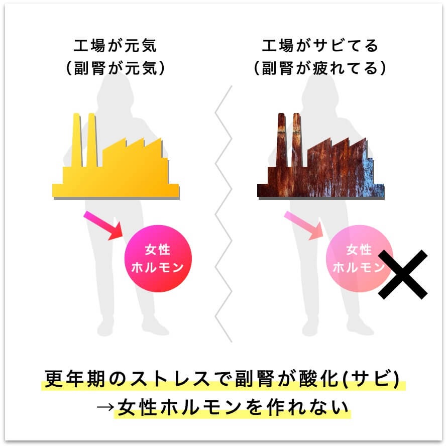 副腎疲労の説明をしている図