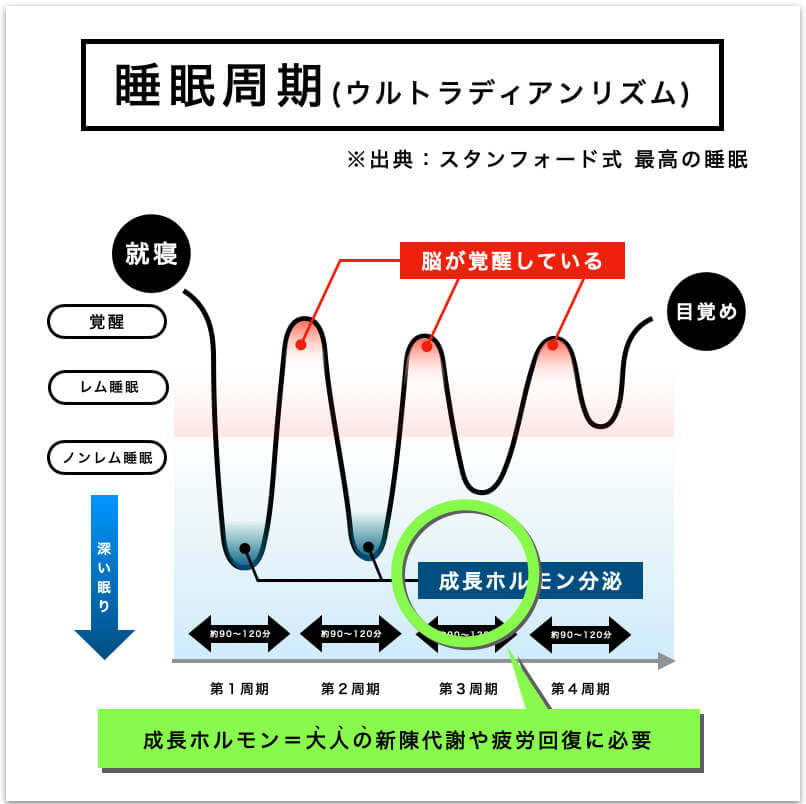 睡眠周期と成長ホルモンについて