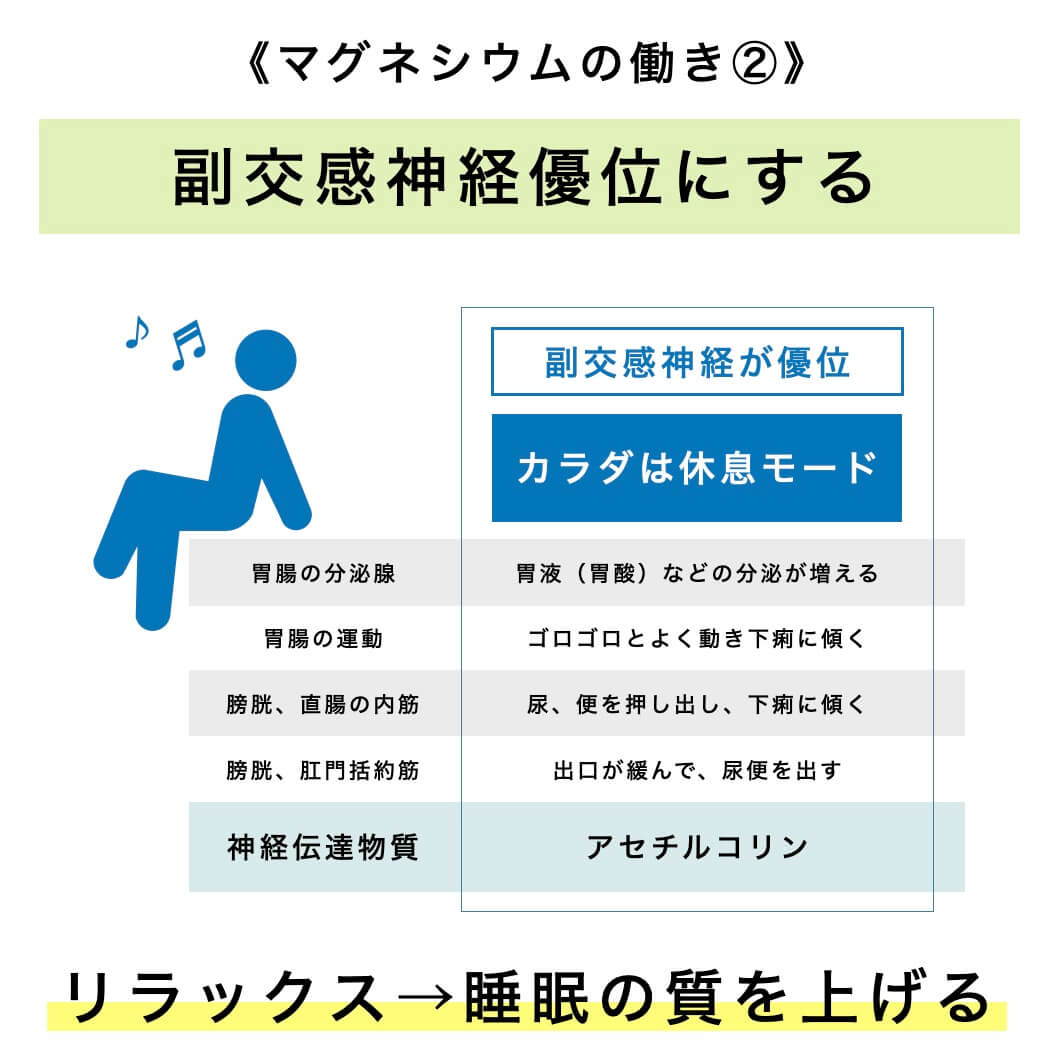マグネシウムの働き②リラックス