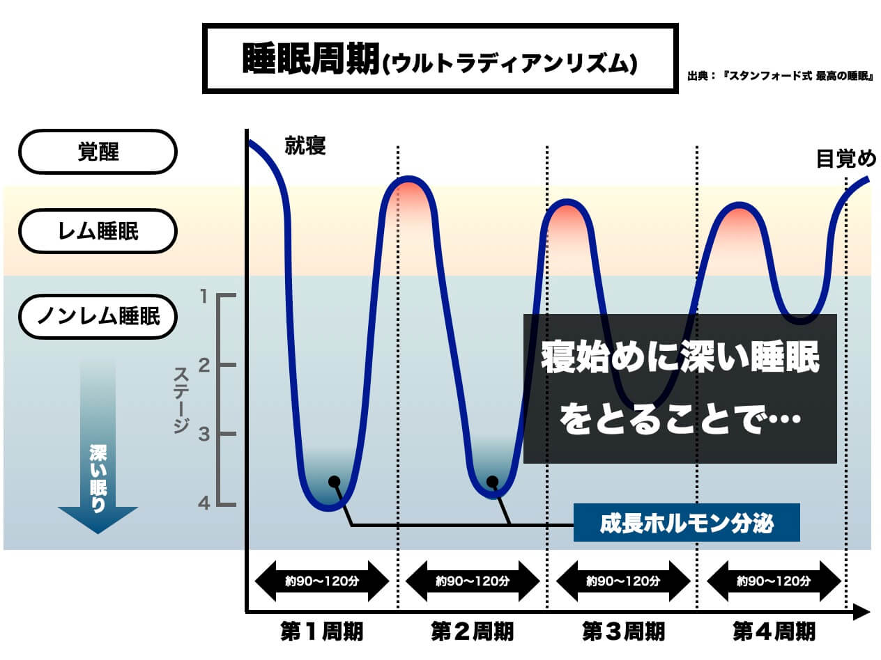睡眠周期とホルモン分泌の関係を説明している図