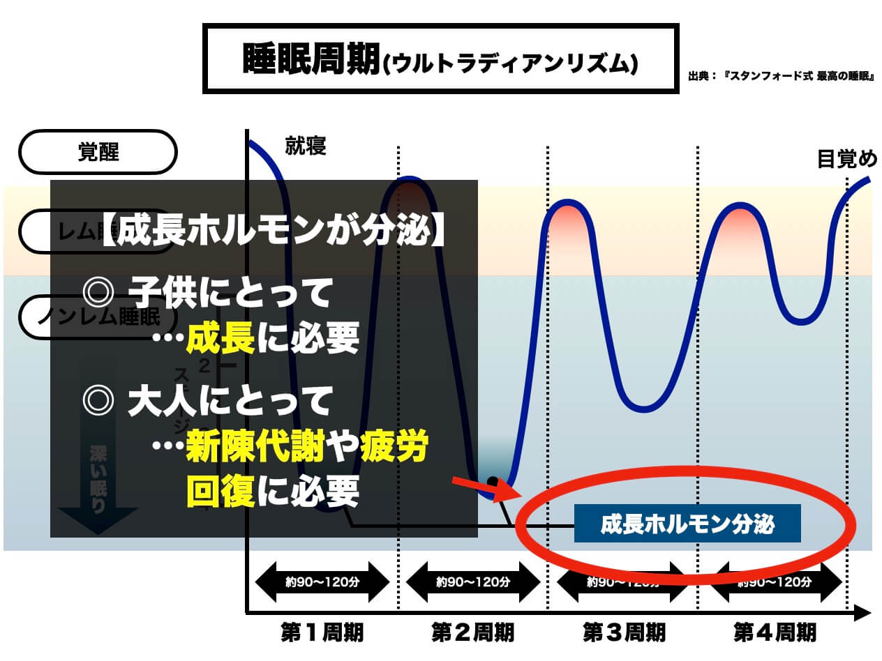 睡眠中の成長ホルモンについて説明している図