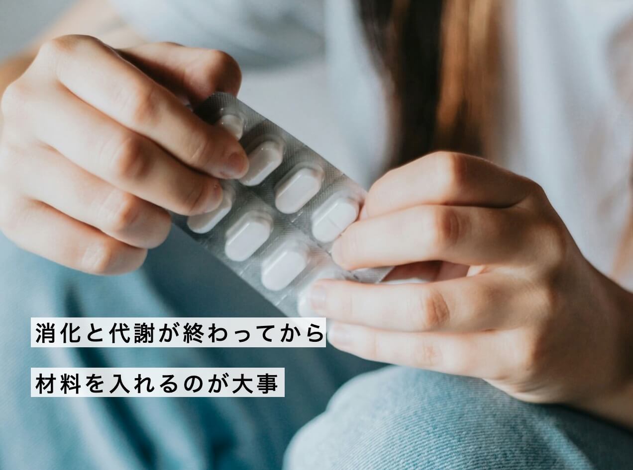 消化と代謝の関係を説明した図