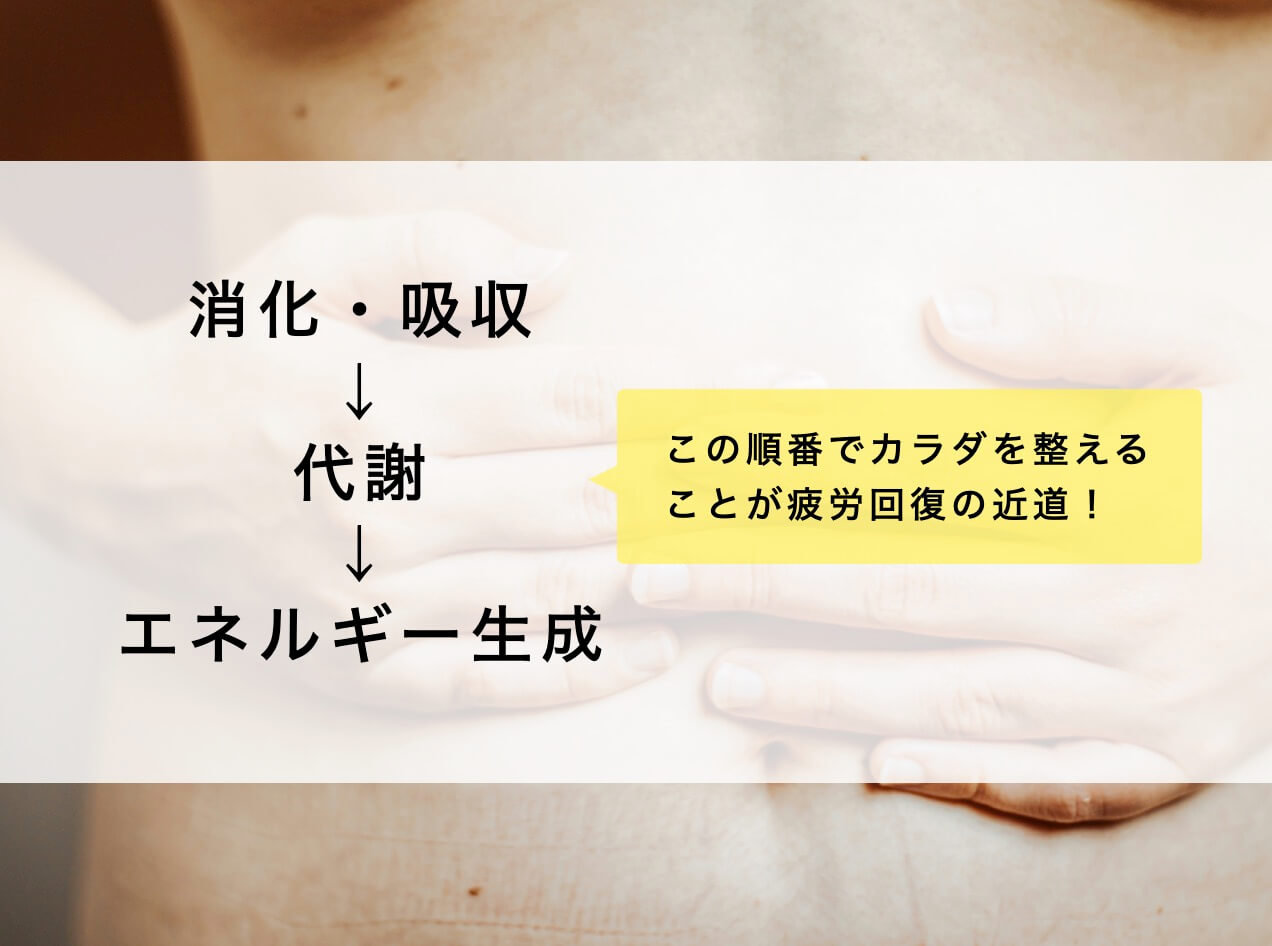 食べてからエネルギーを作るまでの流れを説明している図