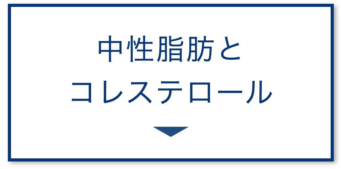 中性脂肪とコレステロール
