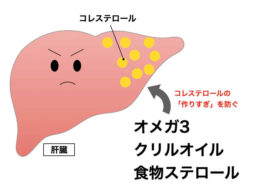 腸でのコレステロール吸収をブロックする働き