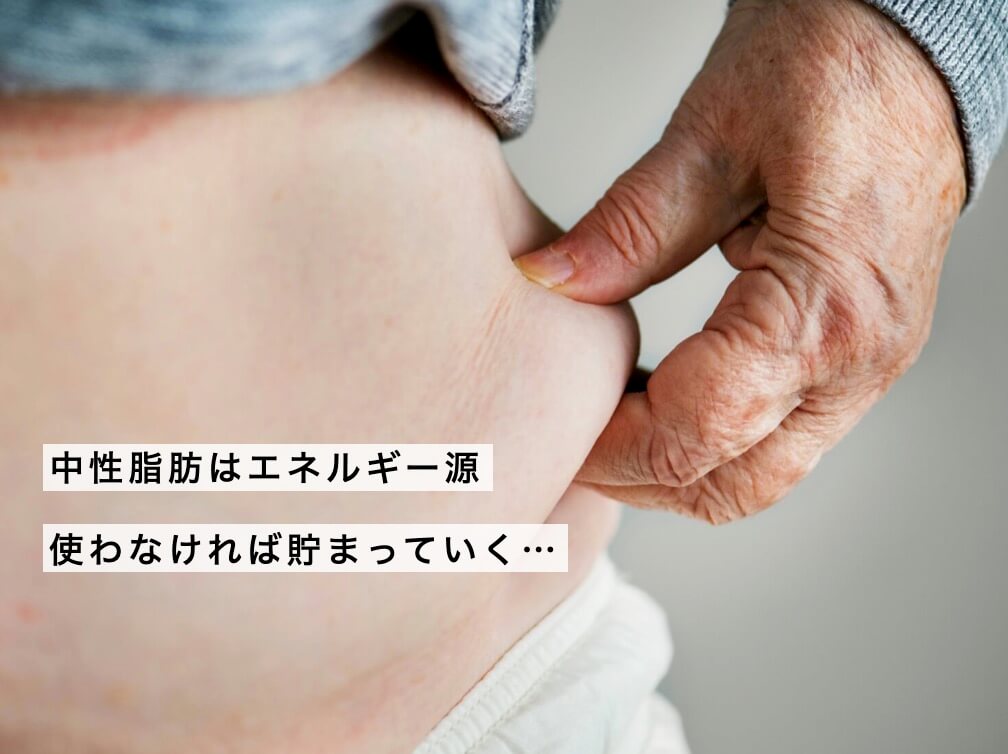 “中性脂肪”が溜まってしまった更年期世代