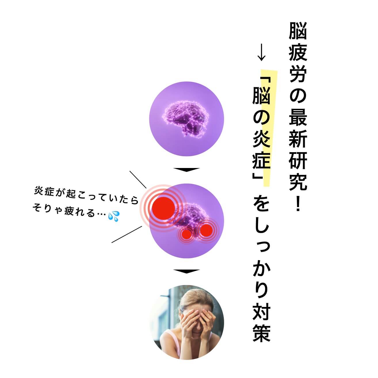 脳炎症をしっかり対策するのが大切