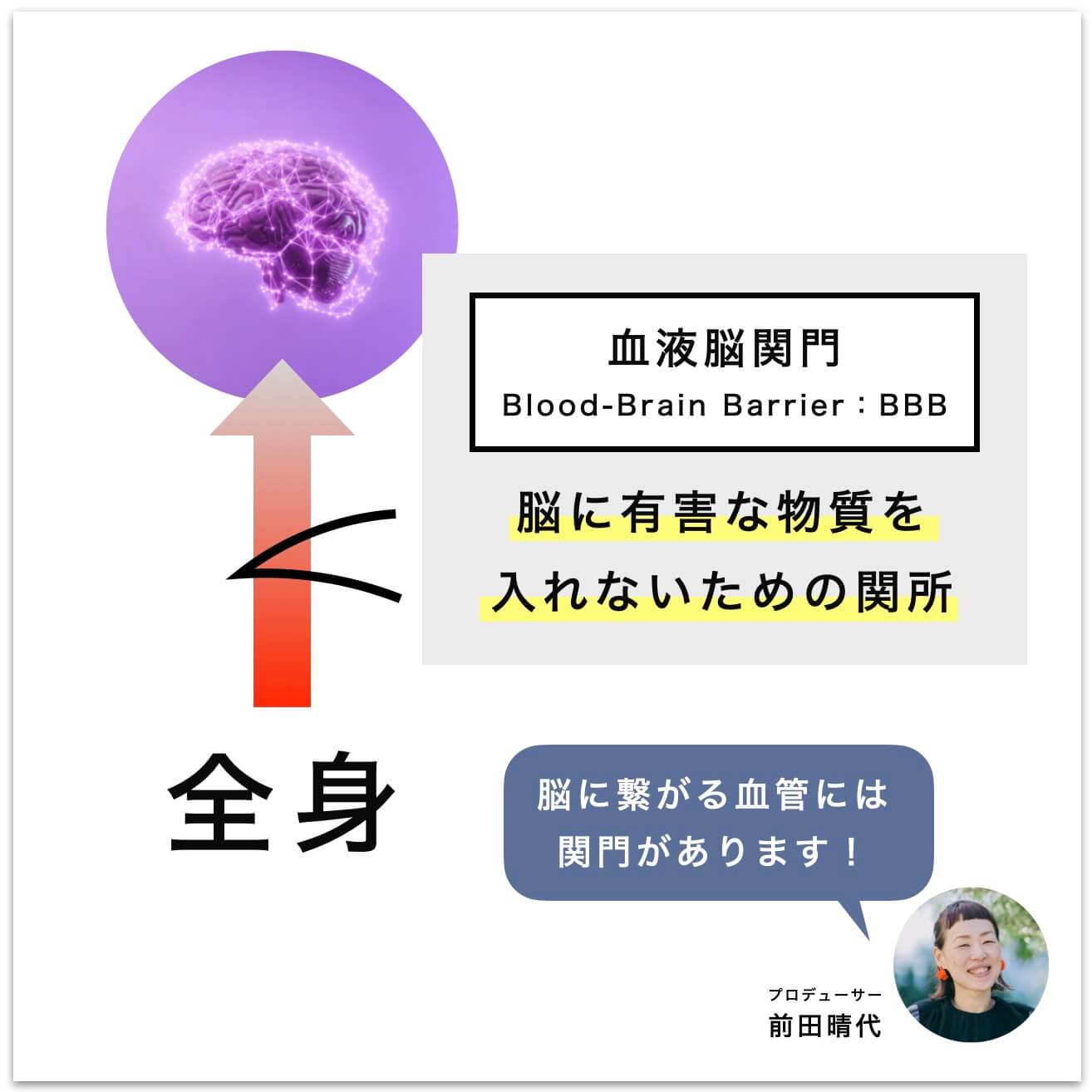 脳に繋がる血管には
関門がある
