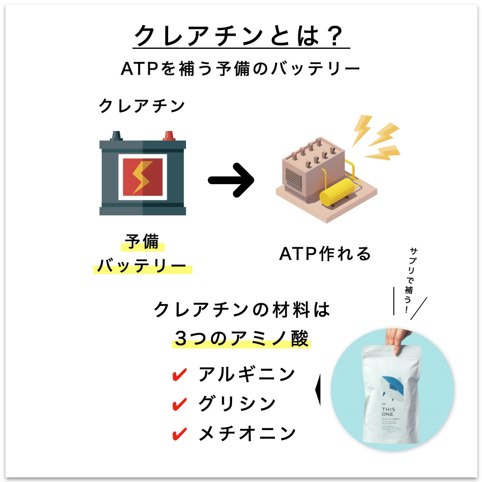 クレアチンとは？