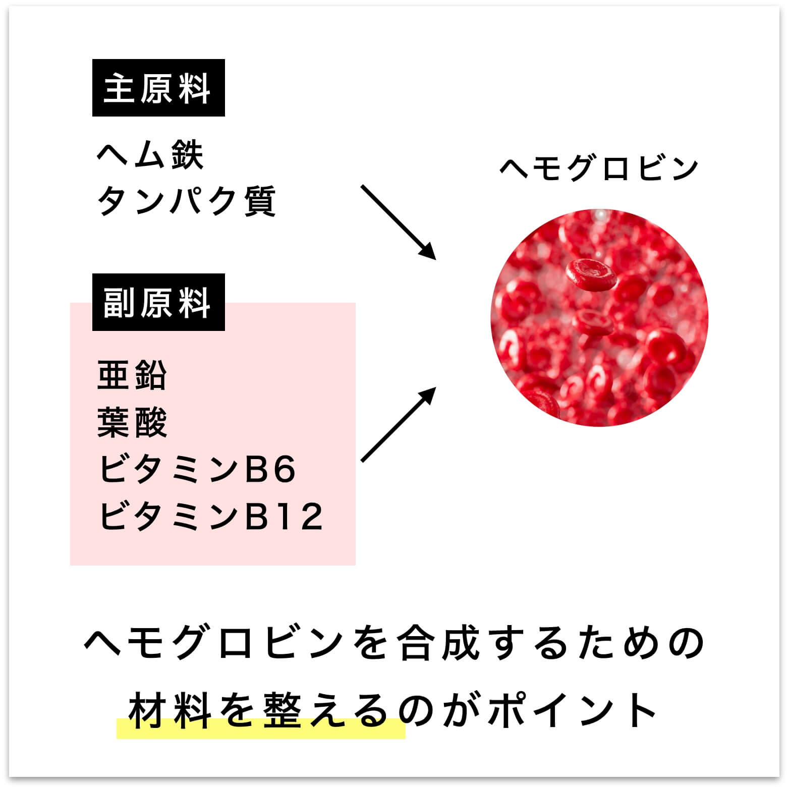 ヘモグロビンをつくるためのポイント