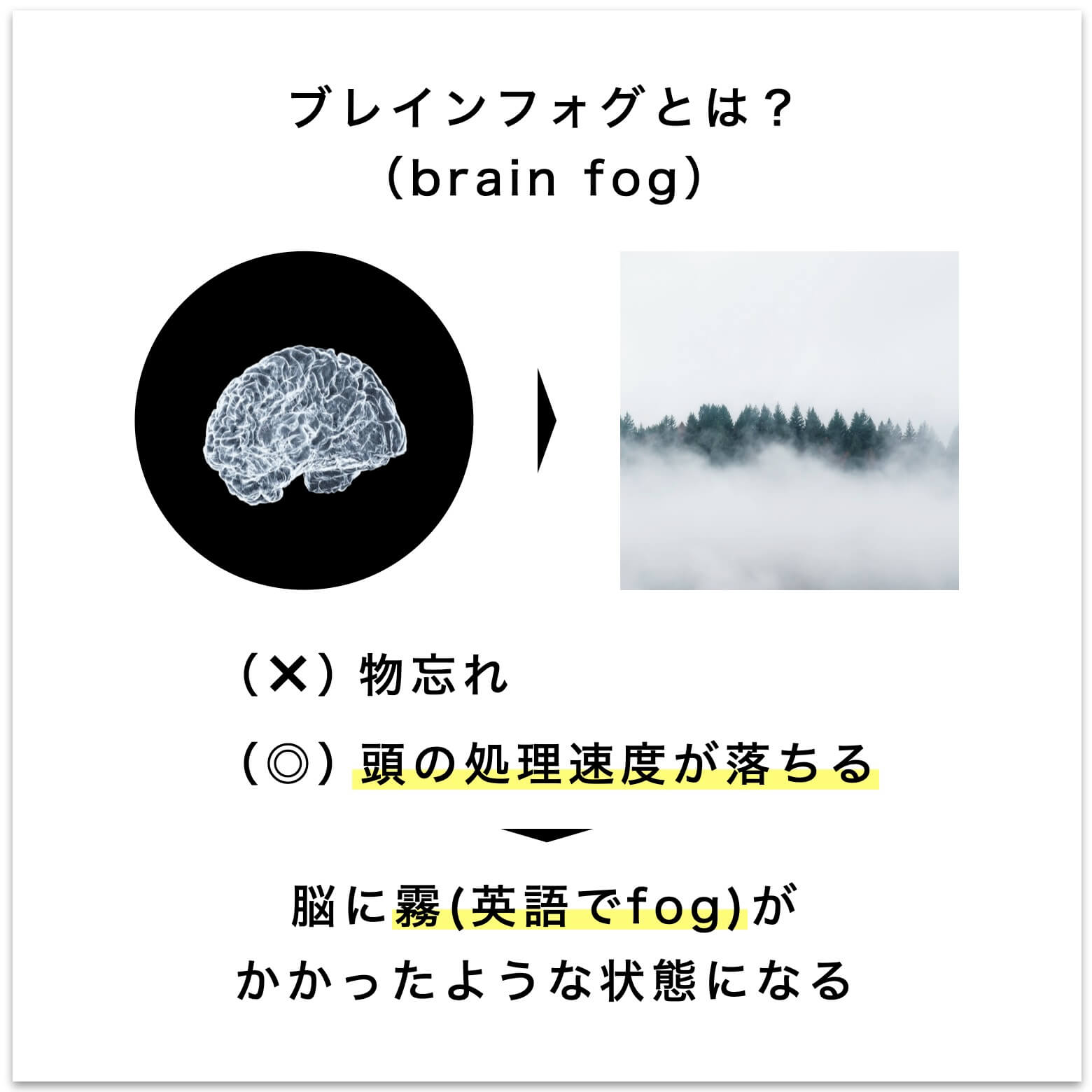 ブレインフォグとはなにか？