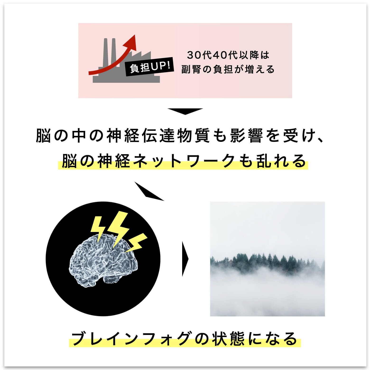 副腎疲労とブレインフォグの関係