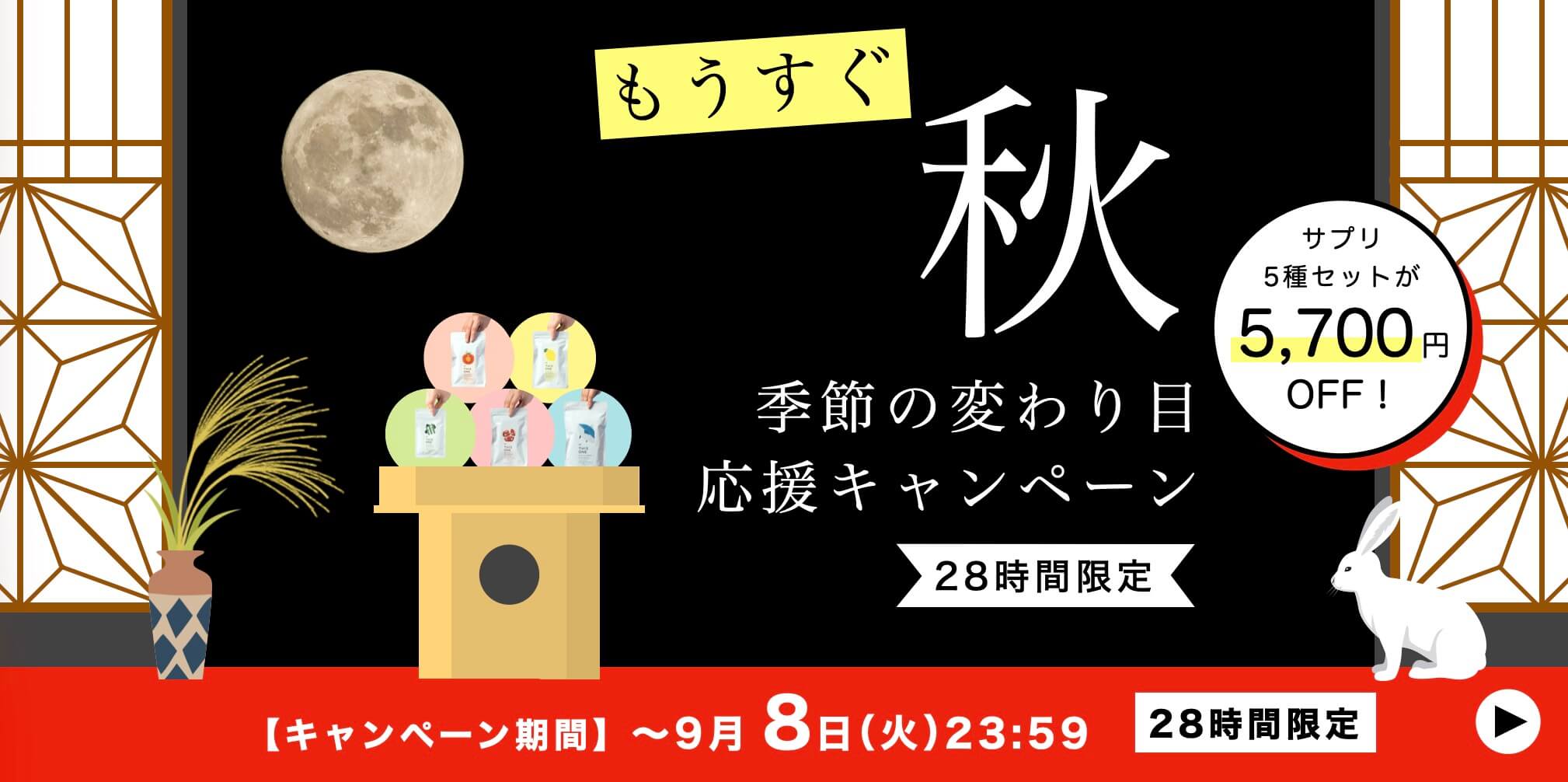 抗酸化サプリメントこうさんかのかわり定期便