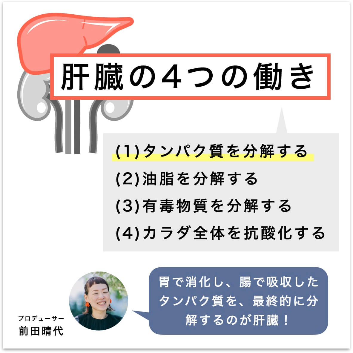 肝臓の働く4つを説明している図